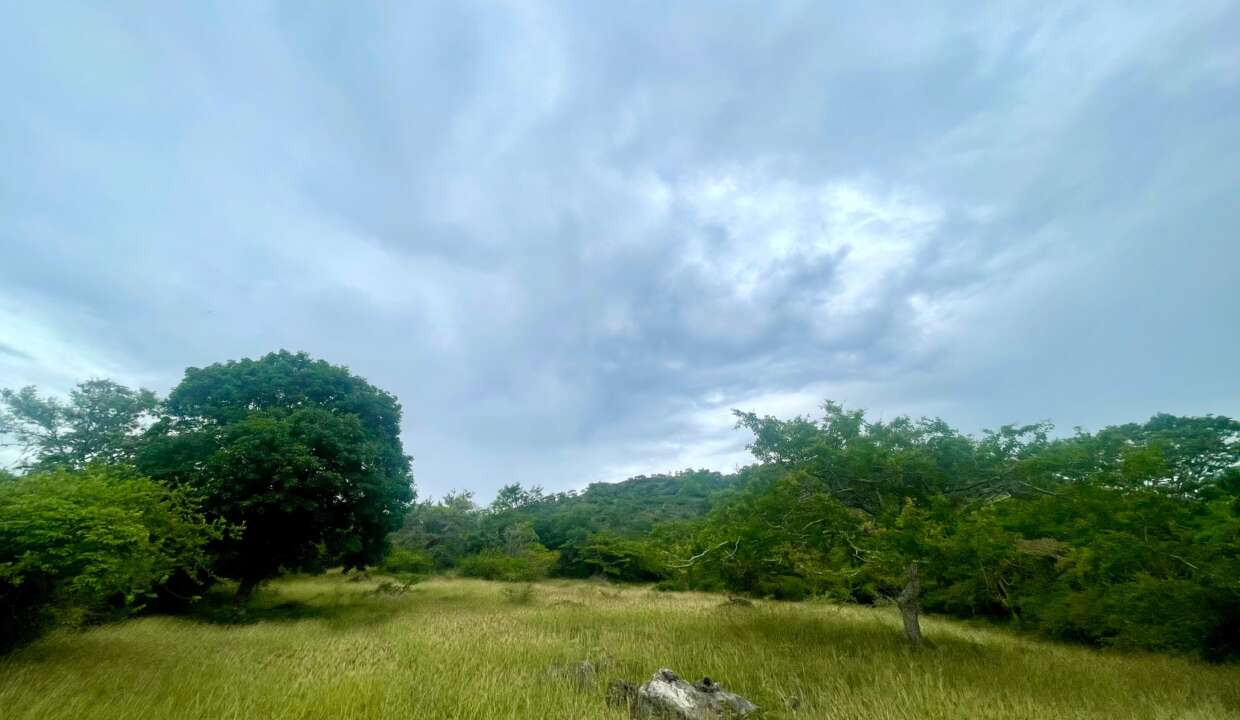 WhatsApp Image 2024-06-17 at 10.23.07 PM (1)