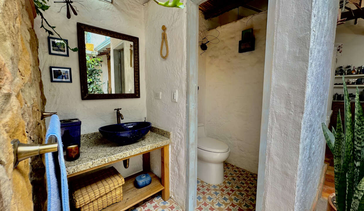 CASA AZUL (20)