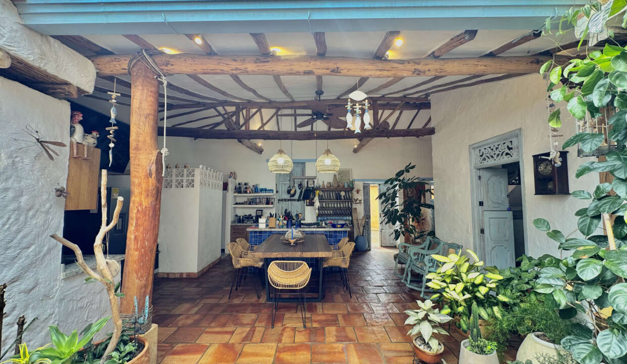 CASA AZUL (24)