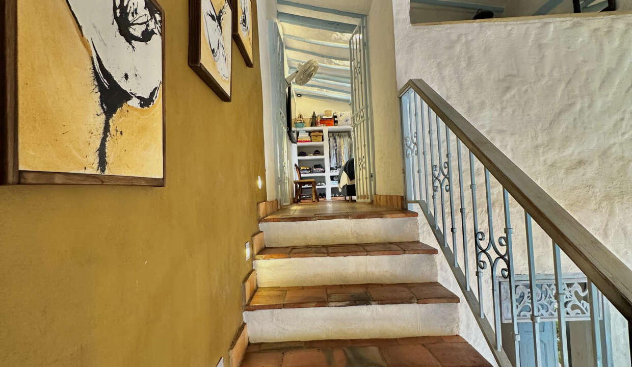 CASA AZUL (26)