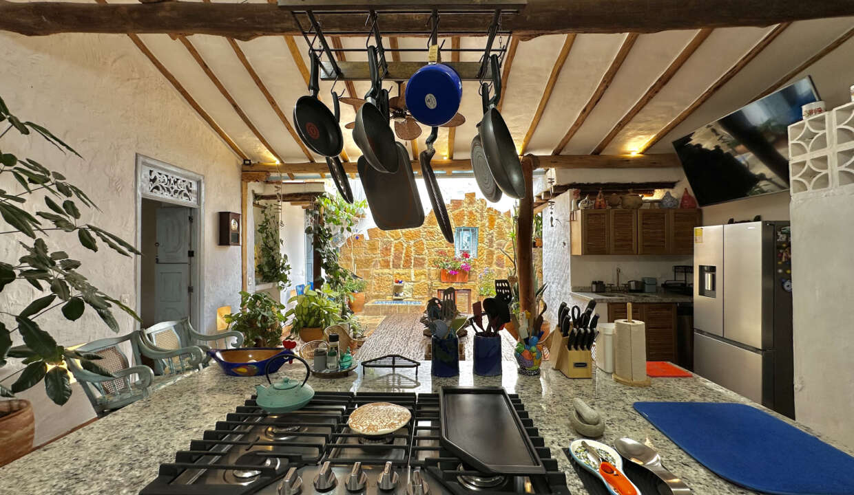 CASA AZUL (29)