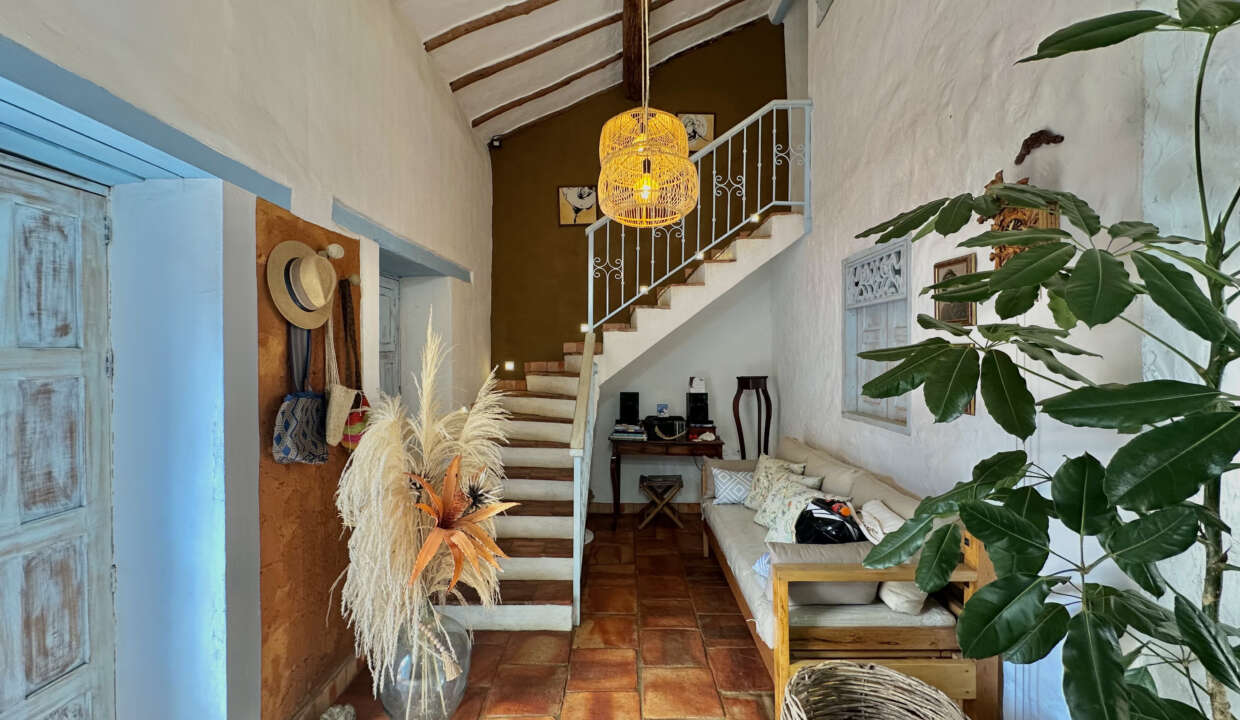 CASA AZUL (5)